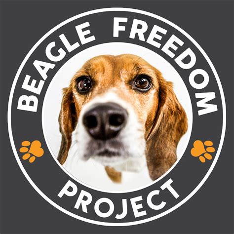Beagle freedom project - On December 23, 2010, Beagle Freedom Project was launched with its first rescue of 2 beagles from an undisclosed laboratory in California. On December 23, 2010, ...